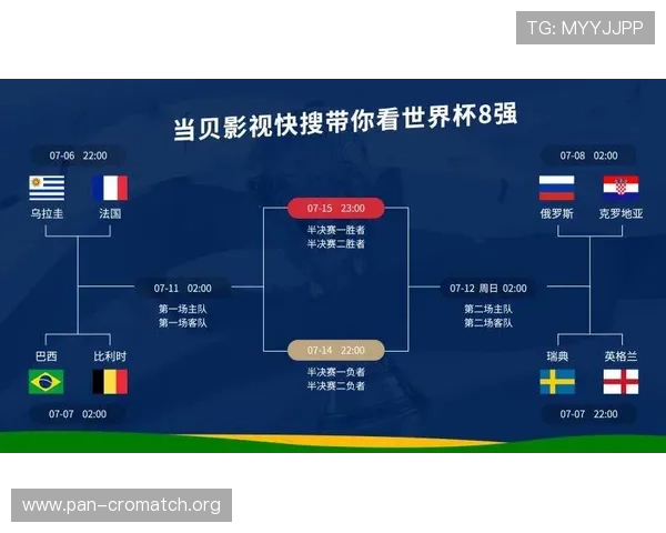 世界杯比利时对阵埃及比赛门票购买常见问题及解决方案